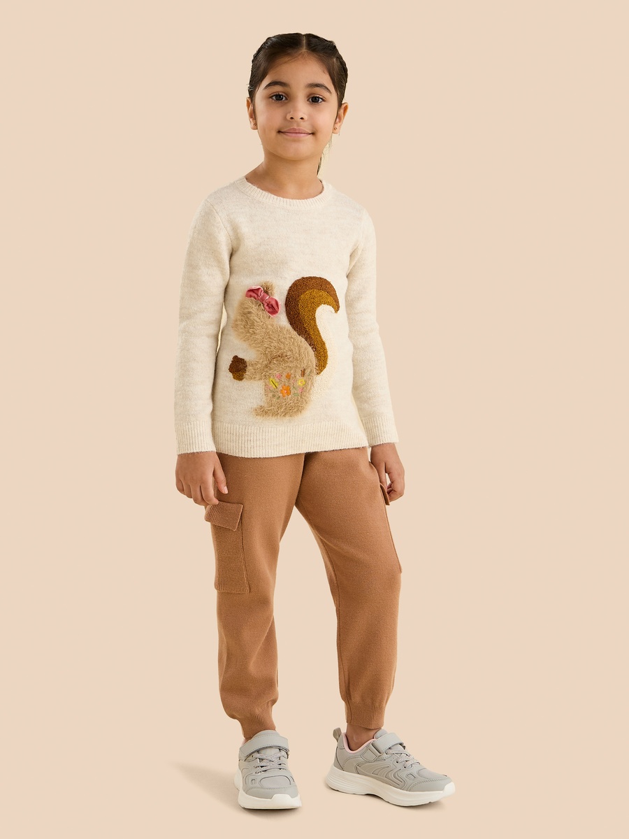 Squirrel Applique Sweater