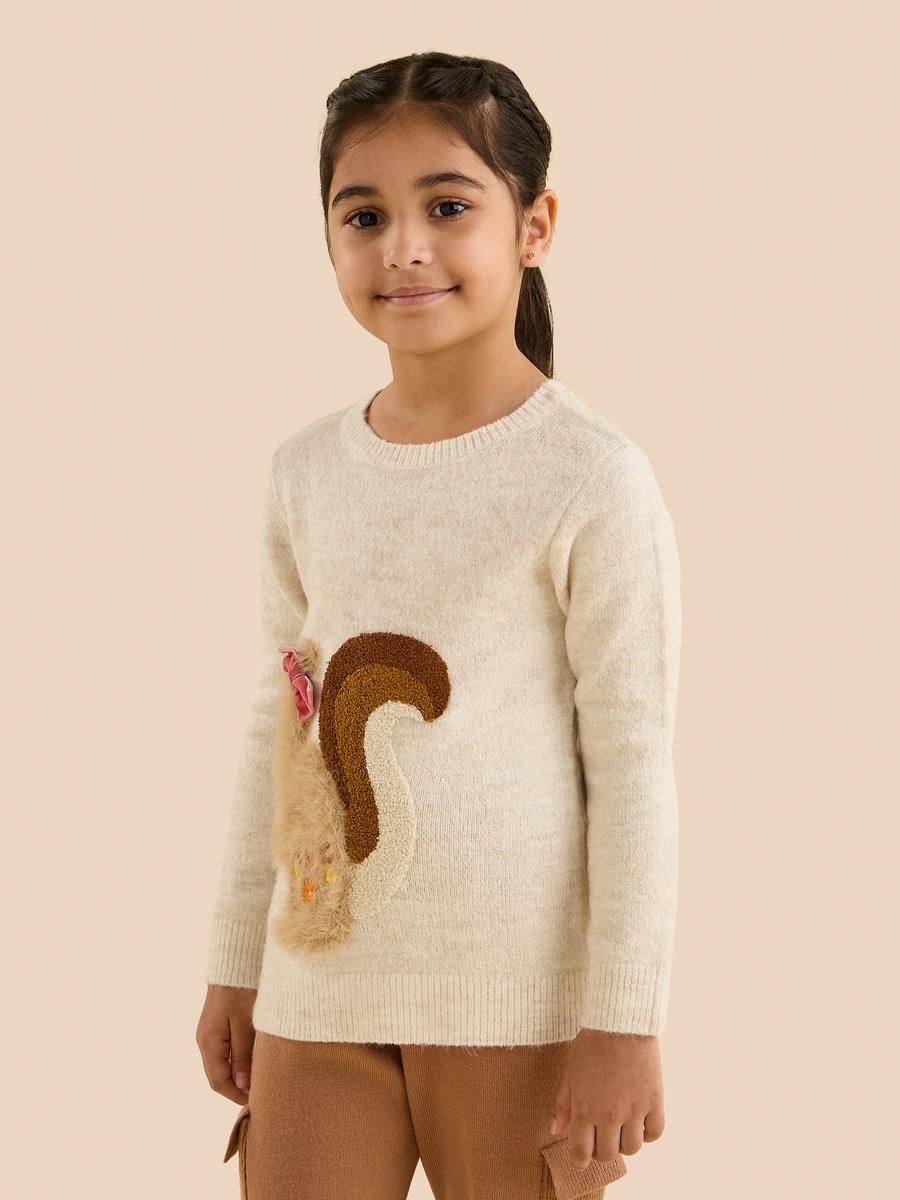 Squirrel Applique Sweater