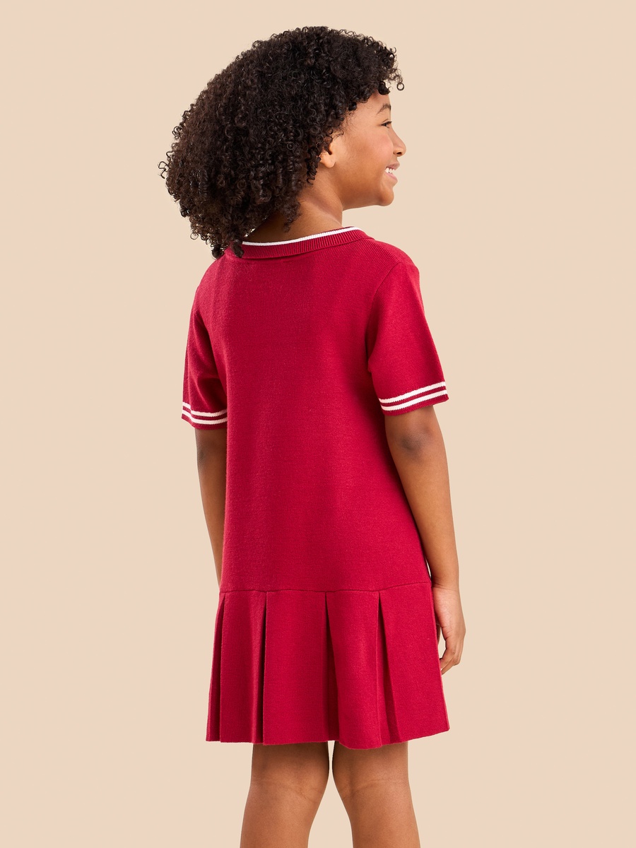 Pleated Drop Waist Polo Sweater Dress