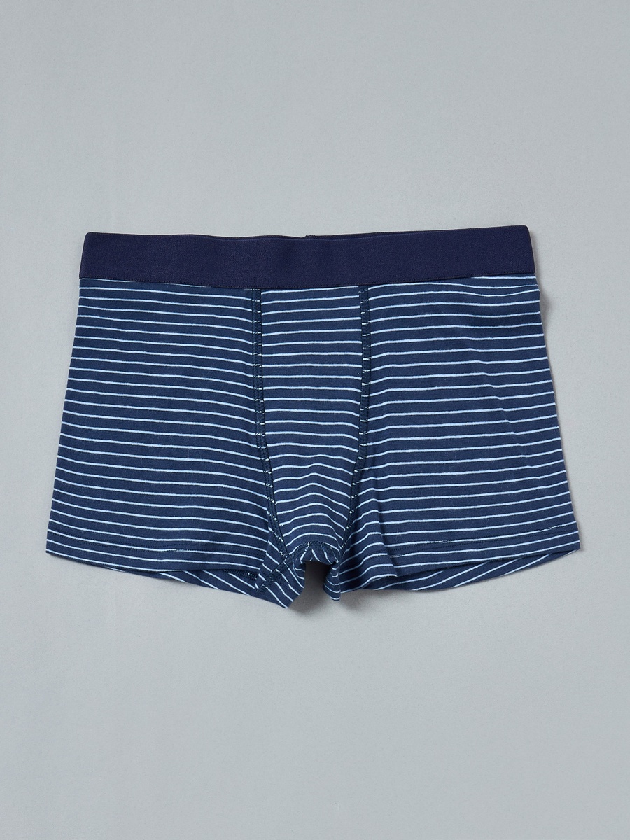 Pack of 5 - Assorted Trunks