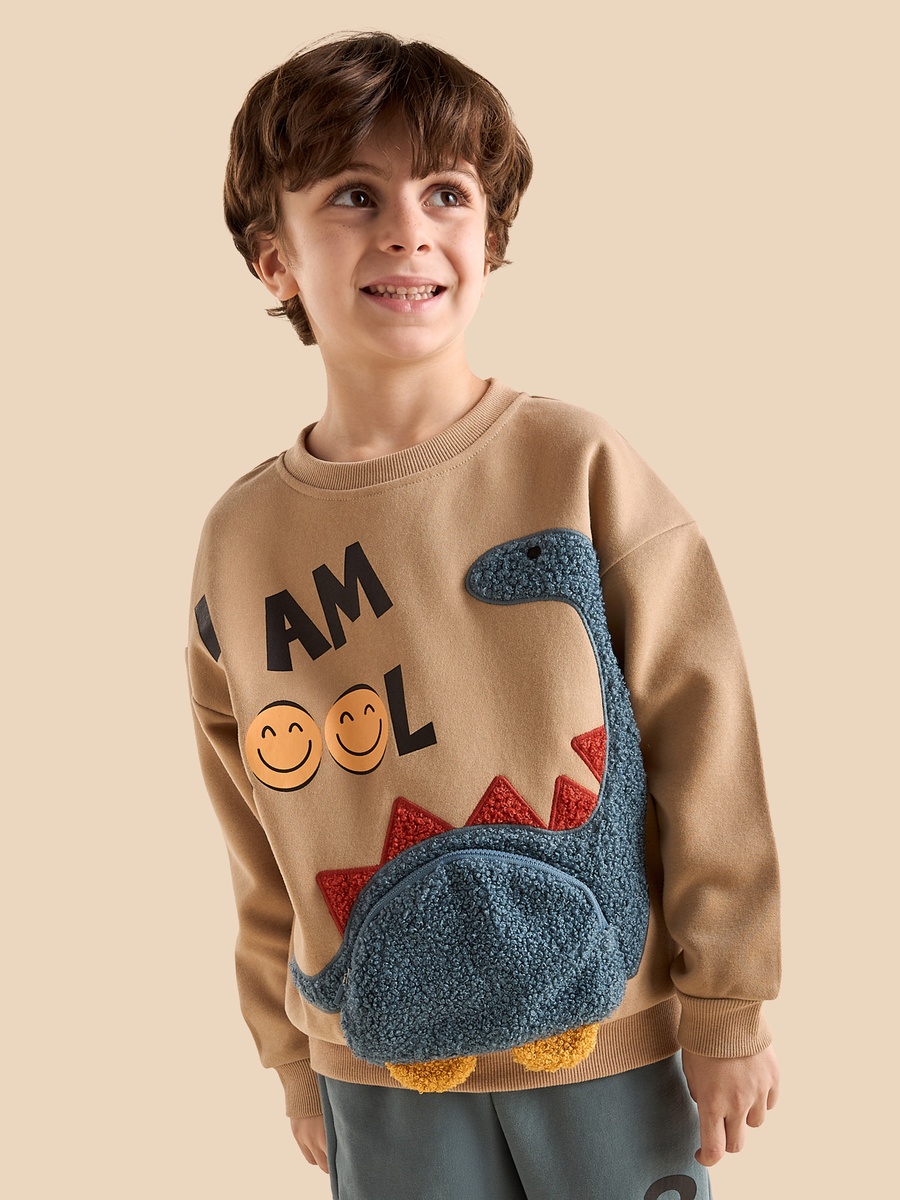 Dinosaur Applique Sweatshirt and Joggers Set