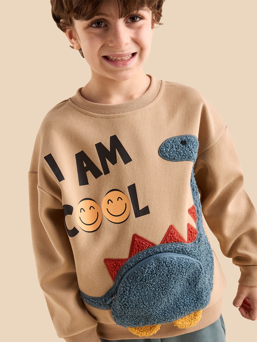 Dinosaur Applique Sweatshirt and Joggers Set
