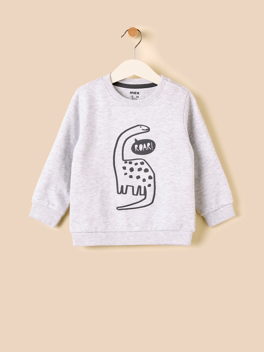 Dinosaur Print Sweatshirt and Joggers Set