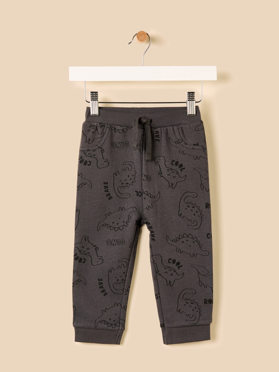 Dinosaur Print Sweatshirt and Joggers Set