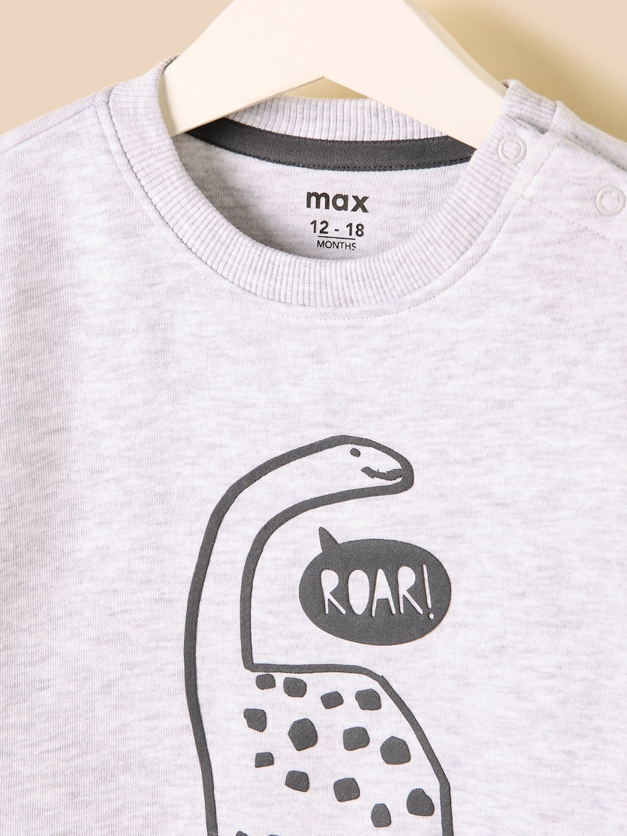 Dinosaur Print Sweatshirt and Joggers Set