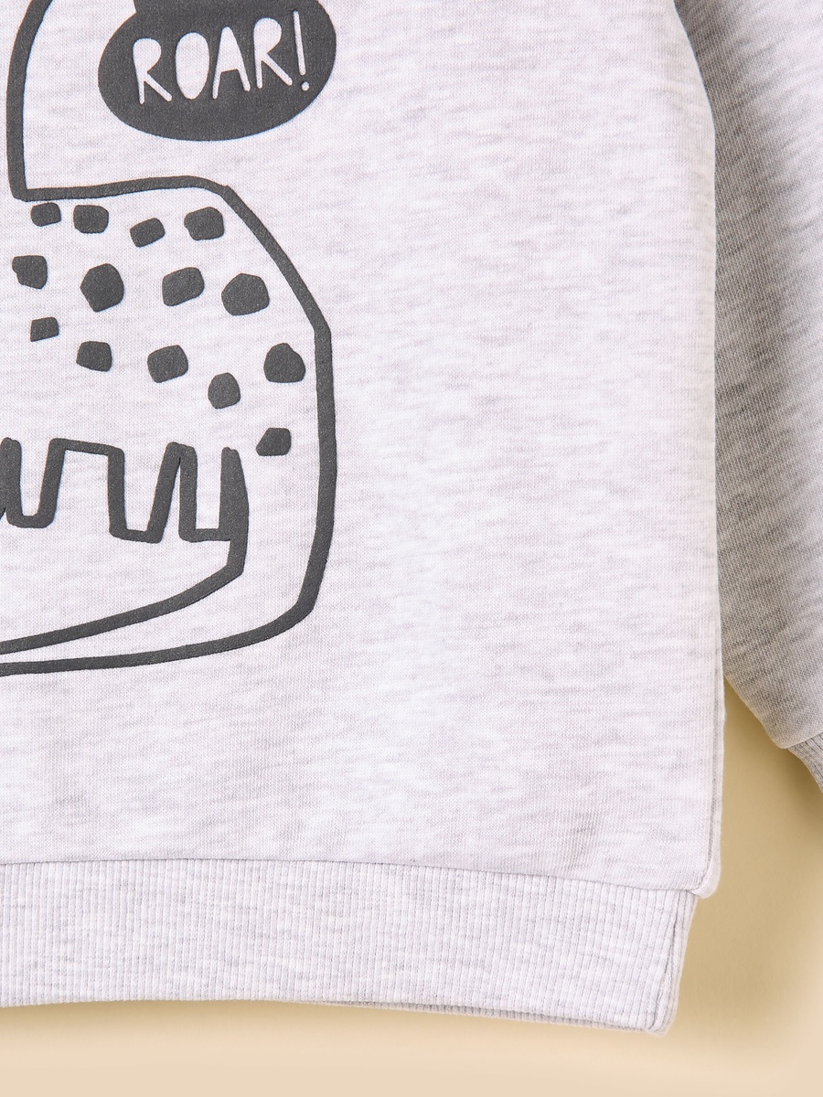 Dinosaur Print Sweatshirt and Joggers Set