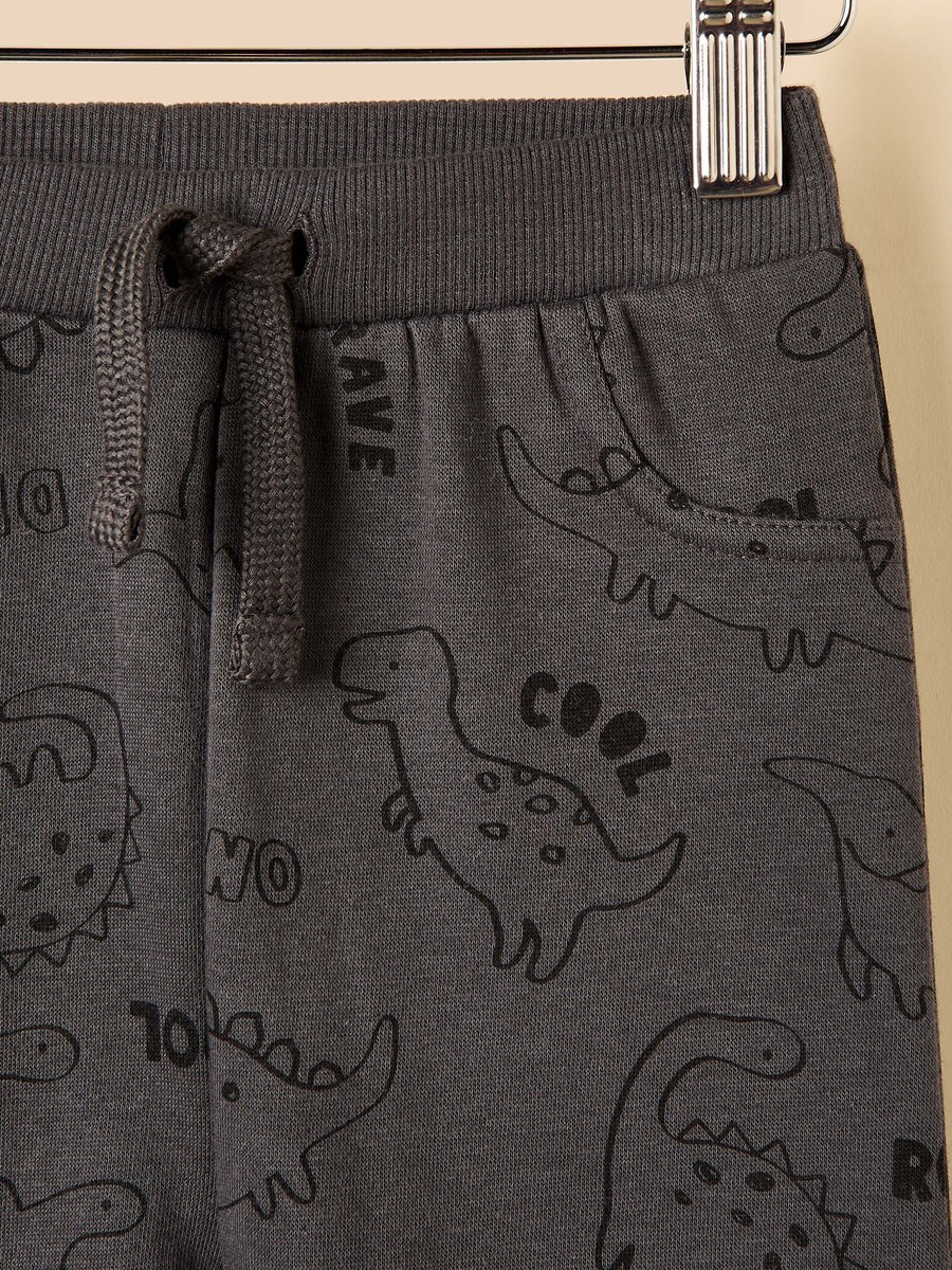 Dinosaur Print Sweatshirt and Joggers Set