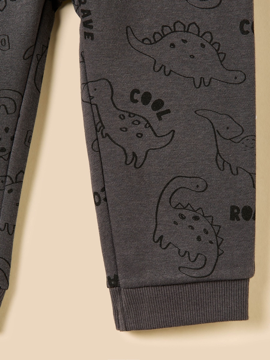Dinosaur Print Sweatshirt and Joggers Set