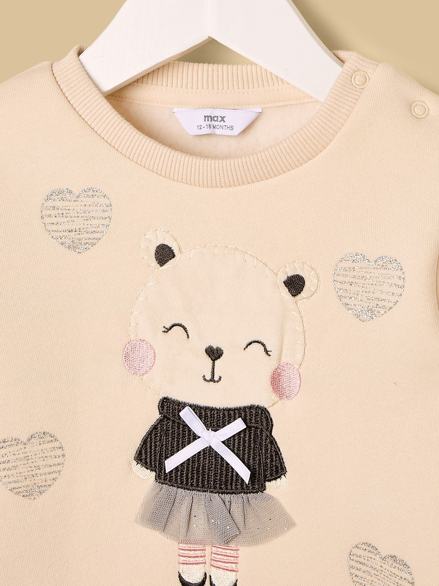 Pack of 2 - Assorted Sweatshirt