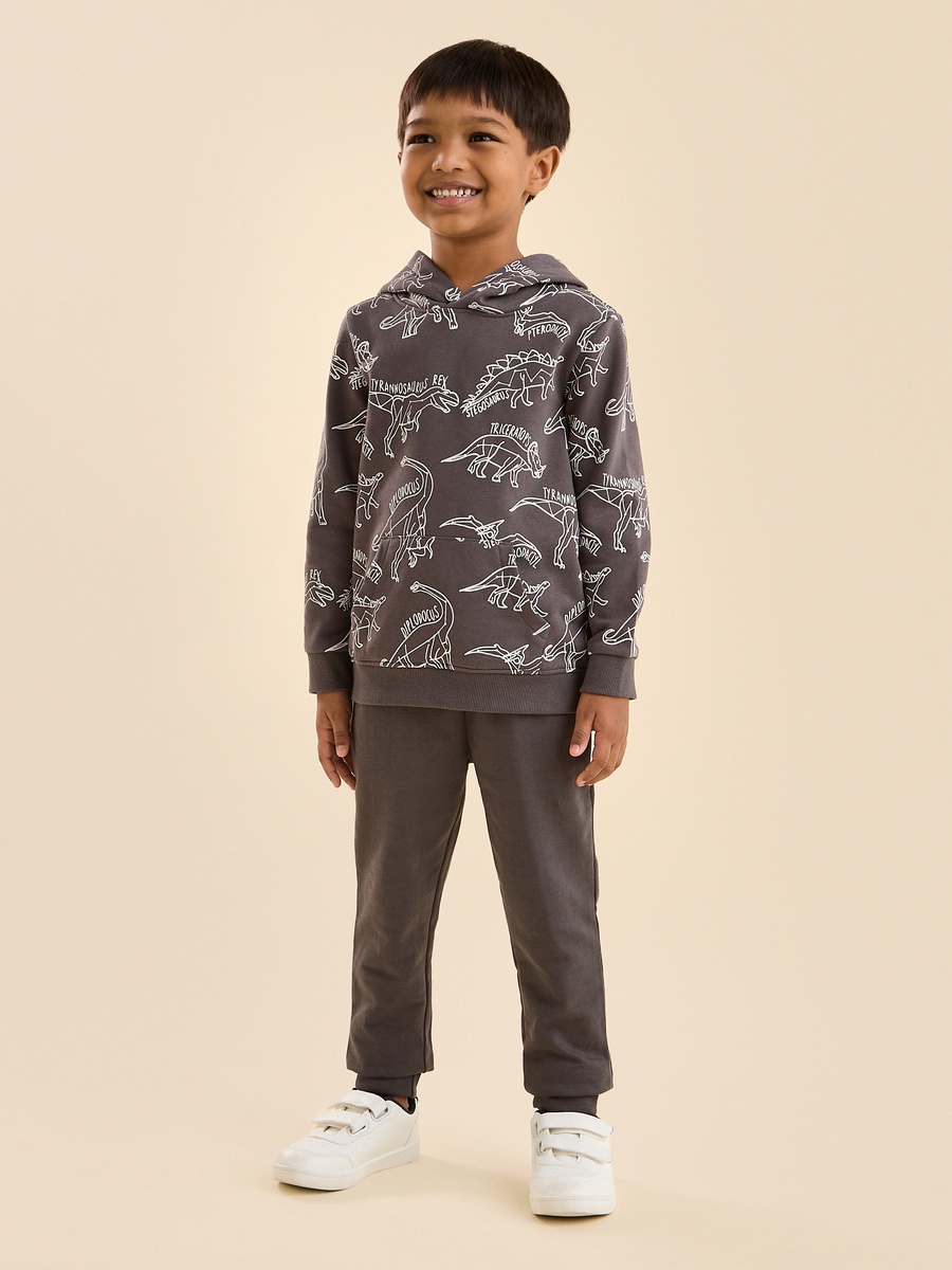 Dinosaur Print Cotton Hooded Sweatshirt