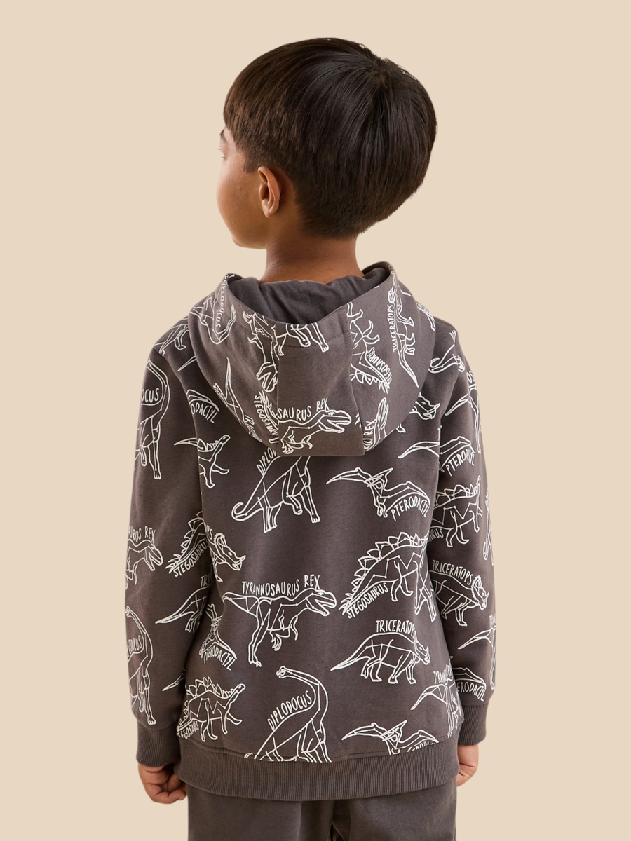 Dinosaur Print Cotton Hooded Sweatshirt