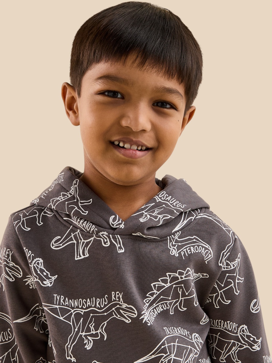 Dinosaur Print Cotton Hooded Sweatshirt