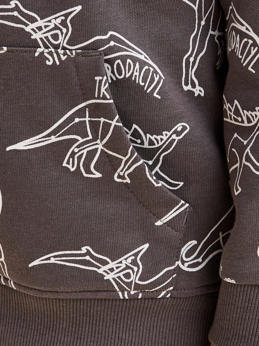 Dinosaur Print Cotton Hooded Sweatshirt