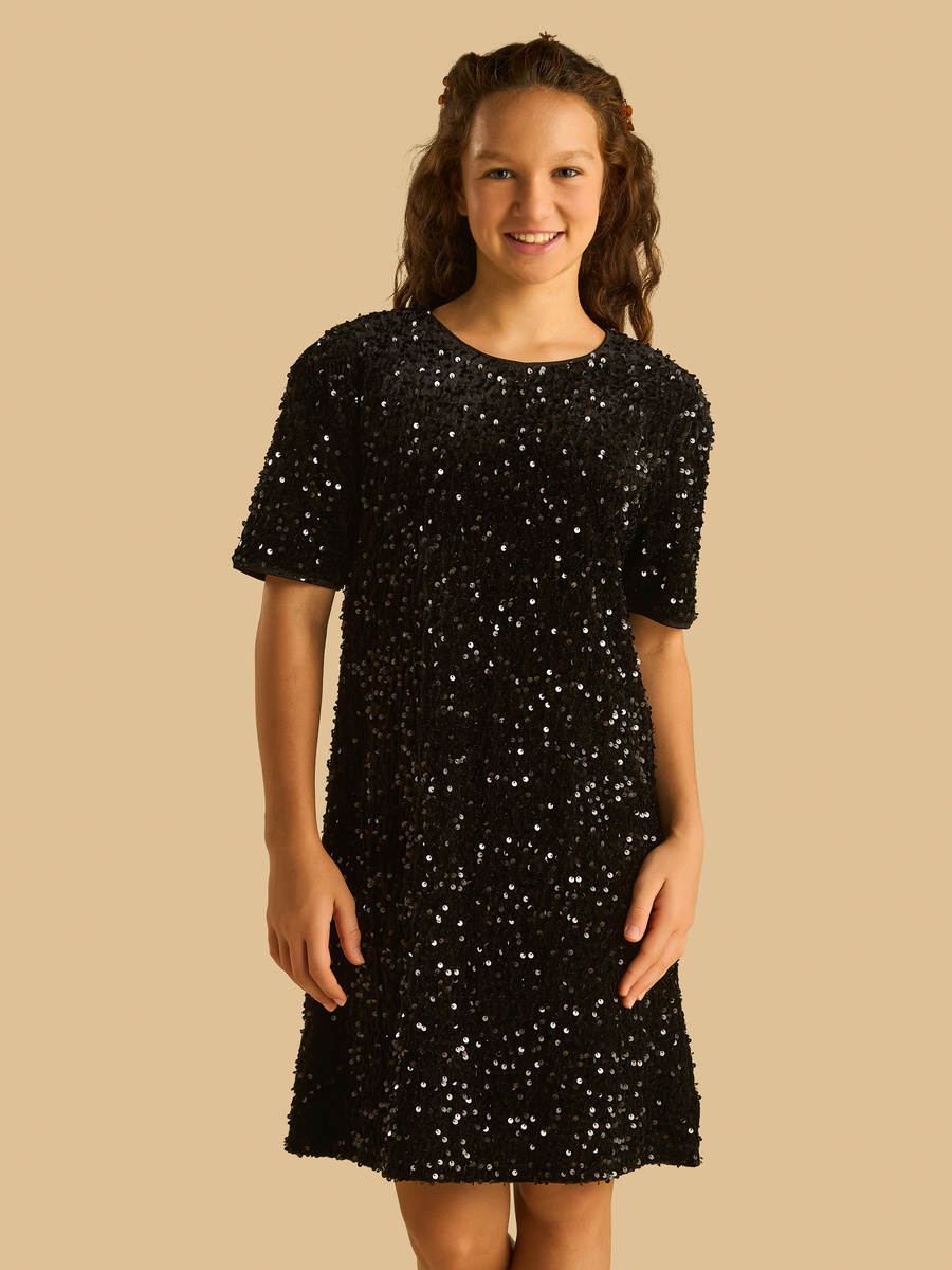 Black Embellished A-Line Dress