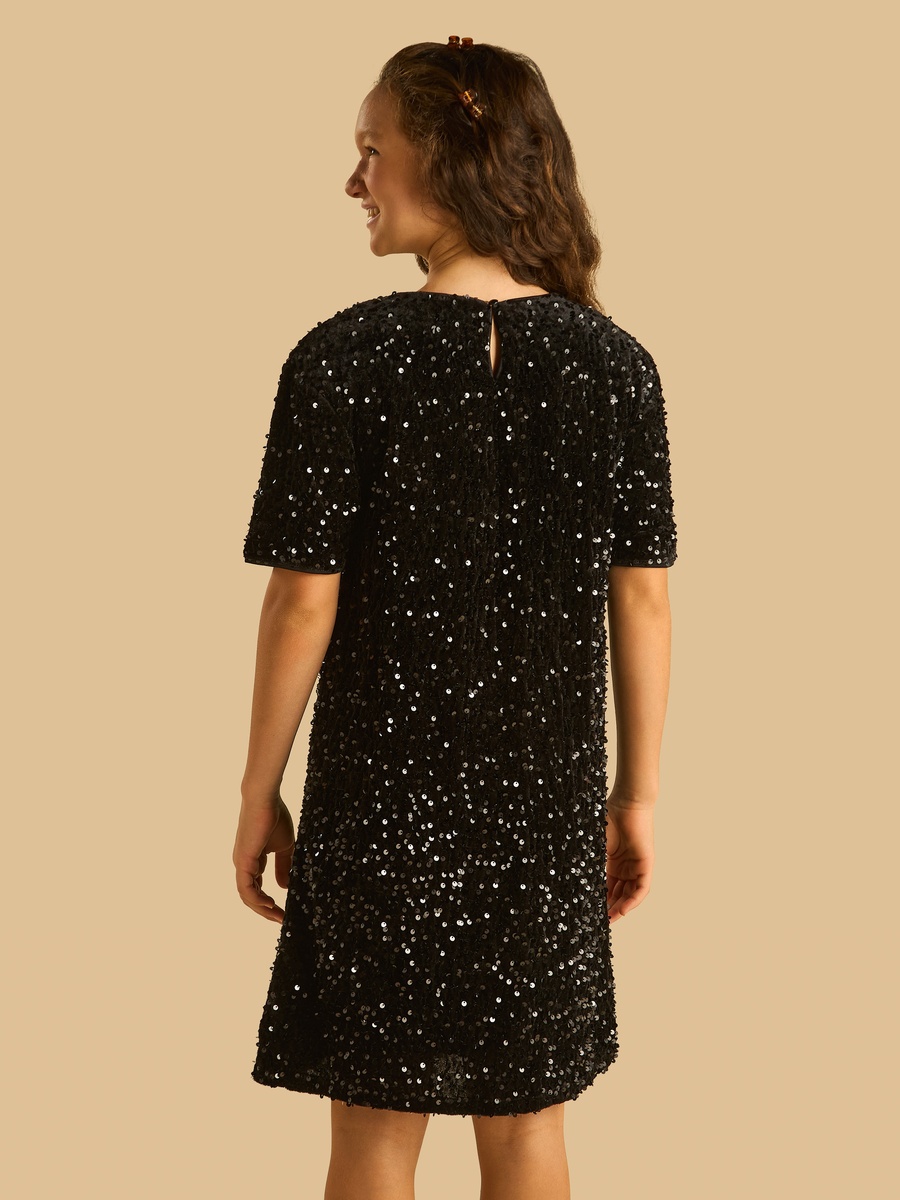 Black Embellished A-Line Dress