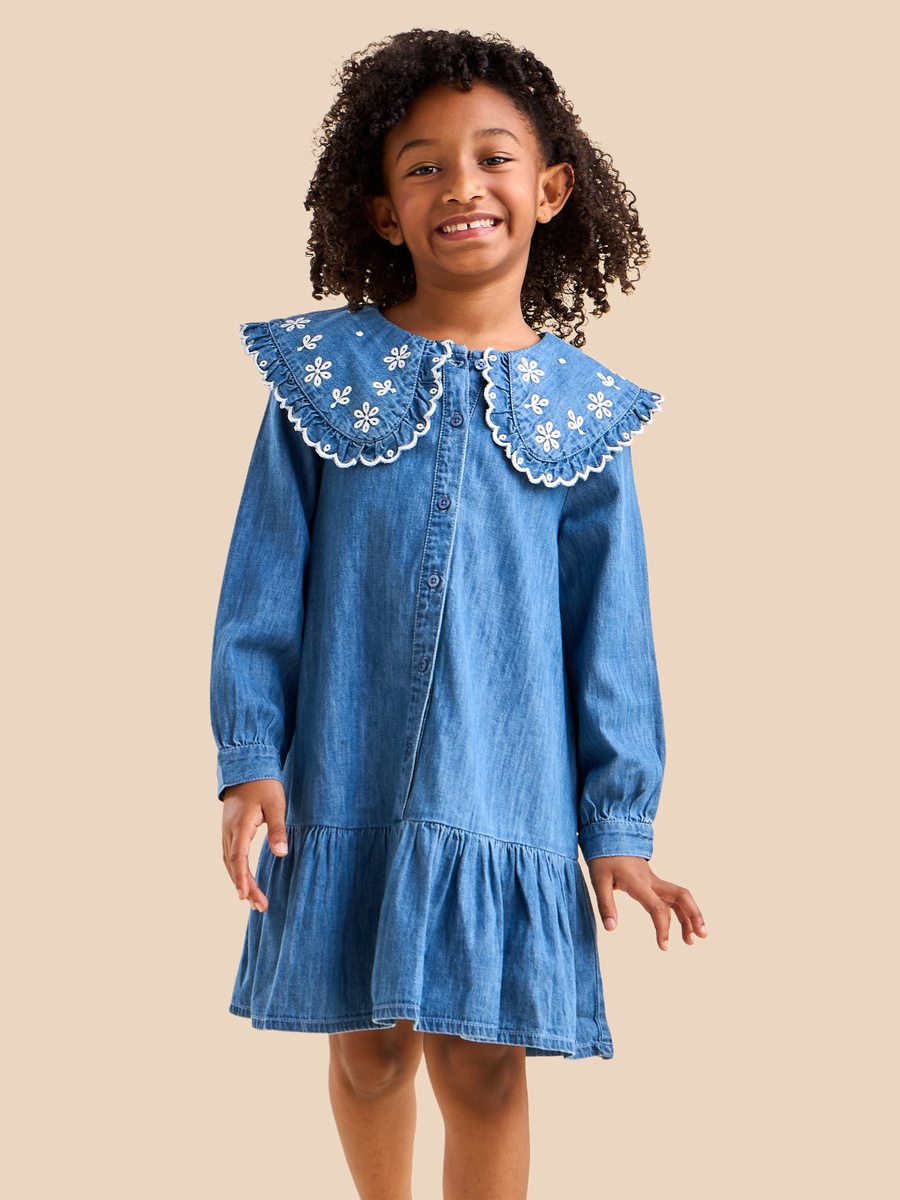 Embroidered Collar Denim Dress