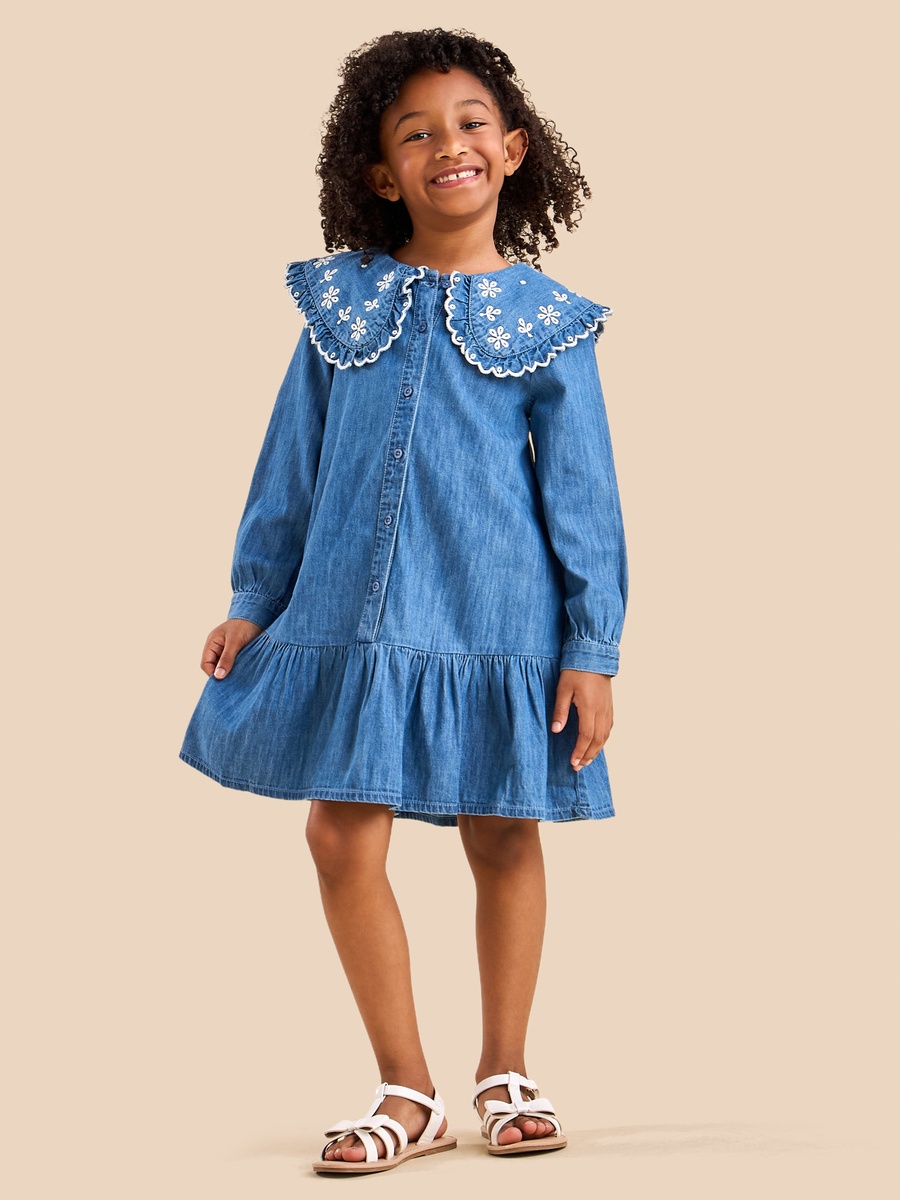 Embroidered Collar Denim Dress
