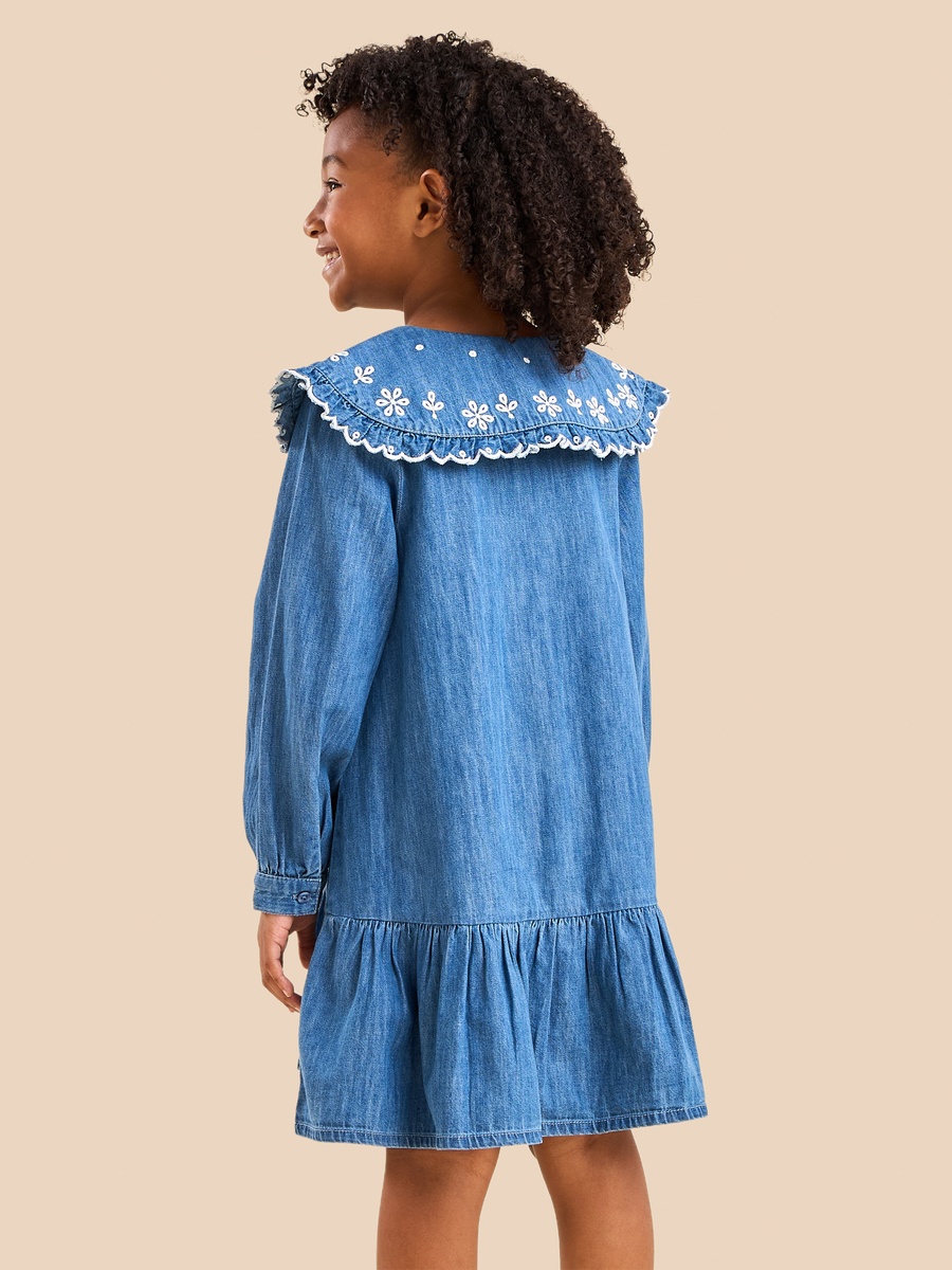 Embroidered Collar Denim Dress