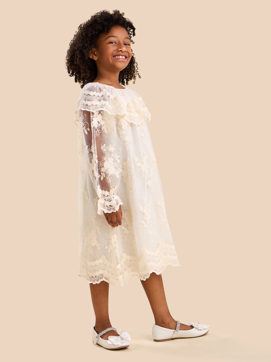 Lace Ruffled Dress