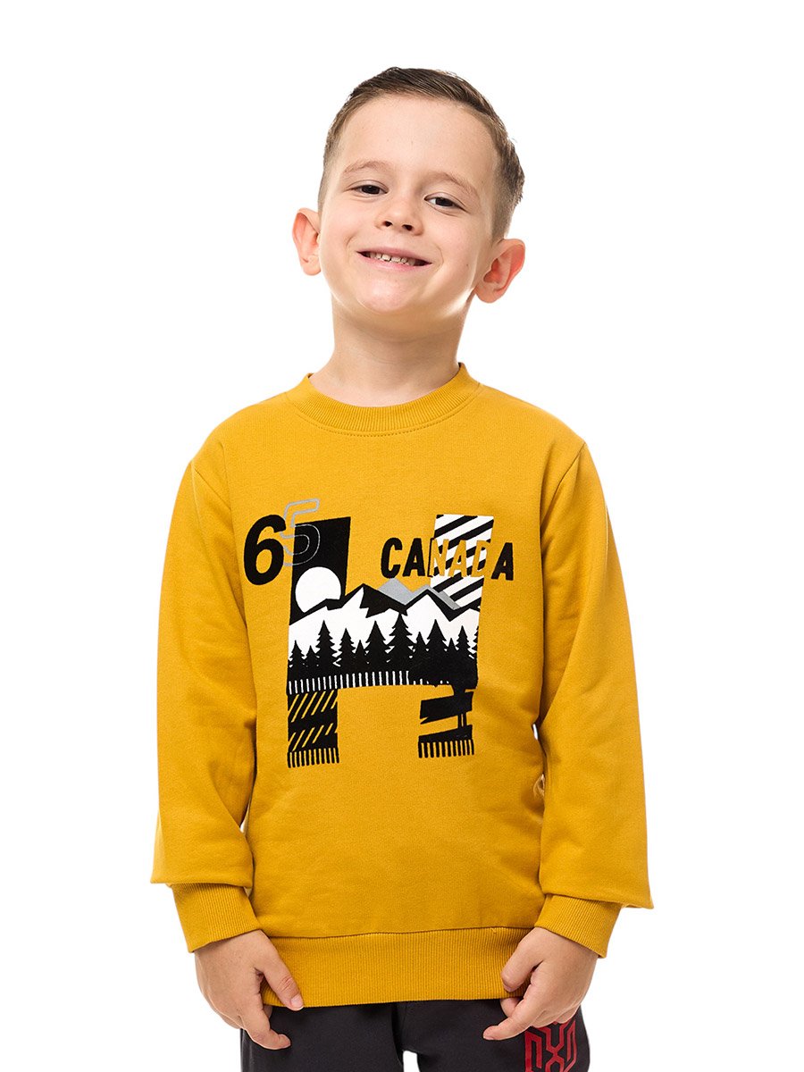 Boys Mustard Graphic Print Sweatshirt