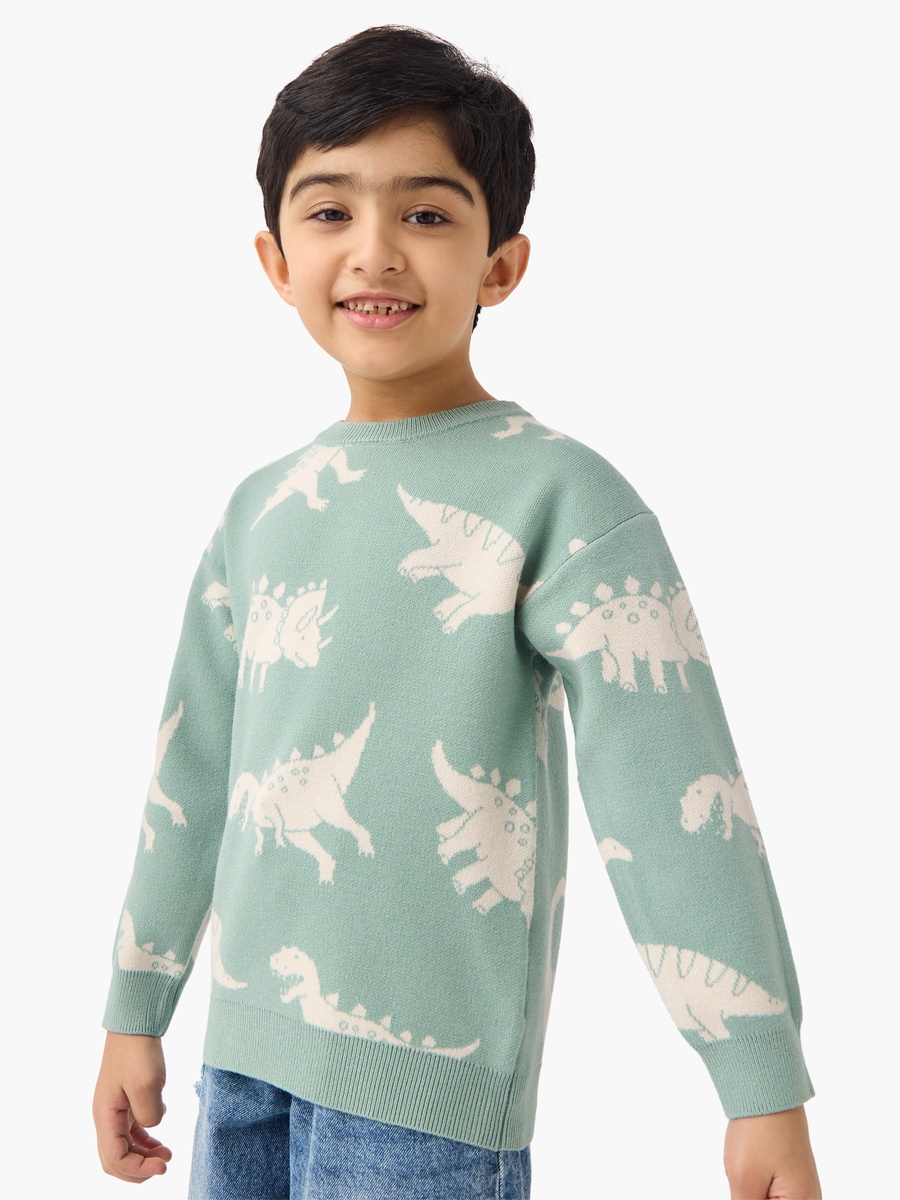 Dinosaur Print Pullover with Crew Neck and Long Sleeves