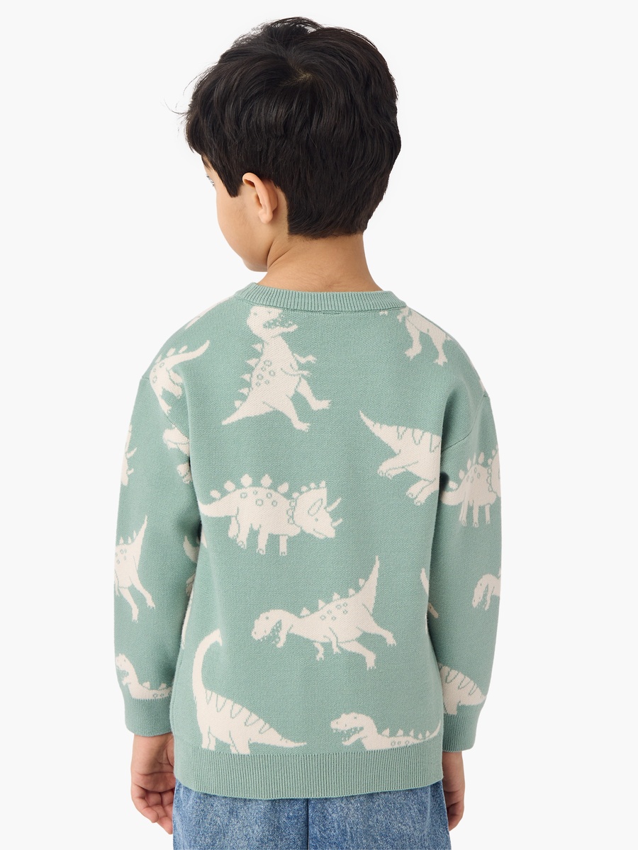 Dinosaur Print Pullover with Crew Neck and Long Sleeves