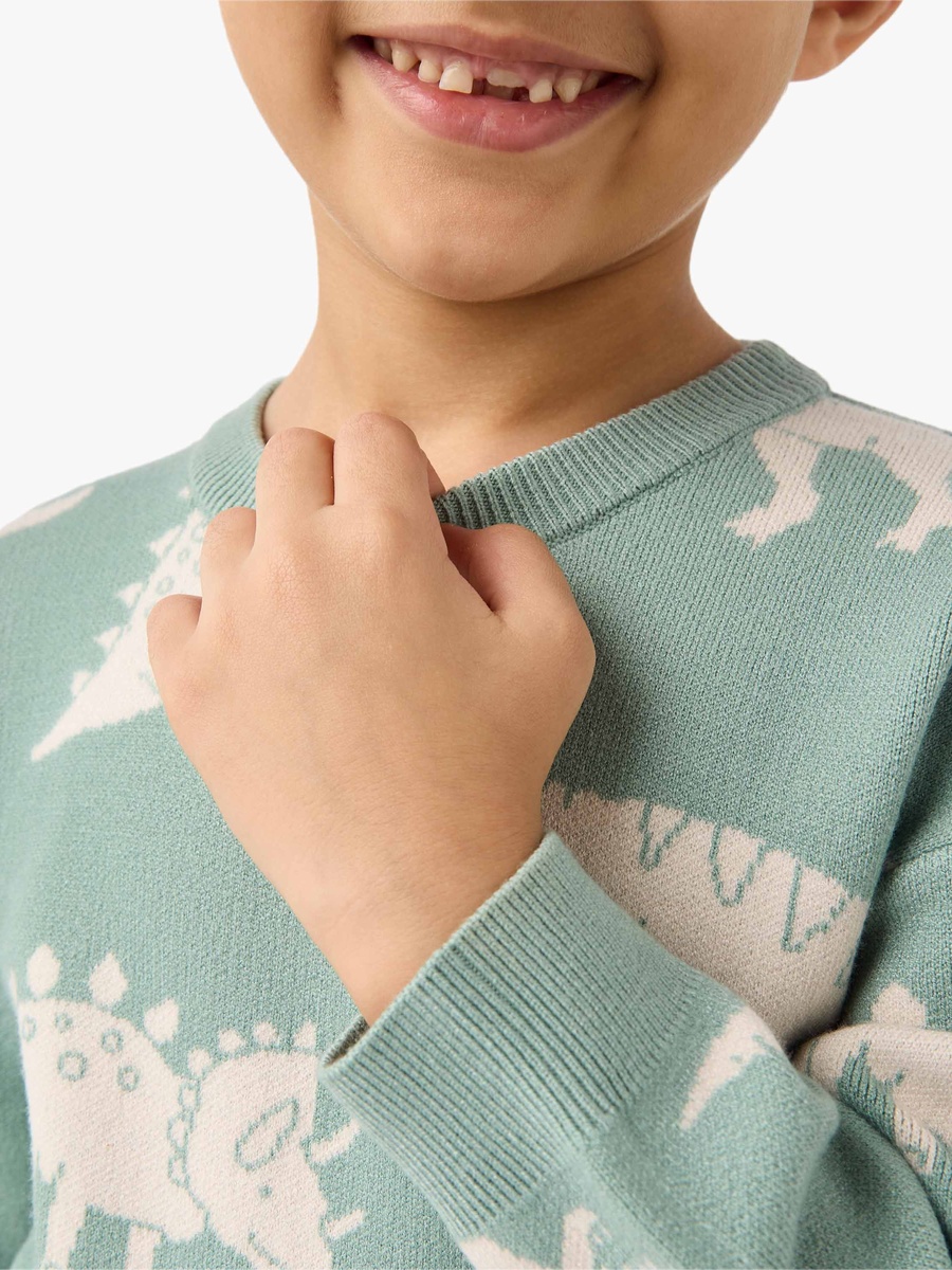 Dinosaur Print Pullover with Crew Neck and Long Sleeves