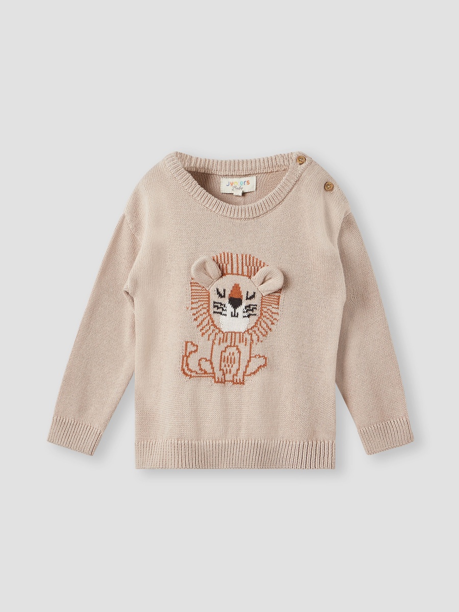 Lion Motif Sweater and Joggers Set