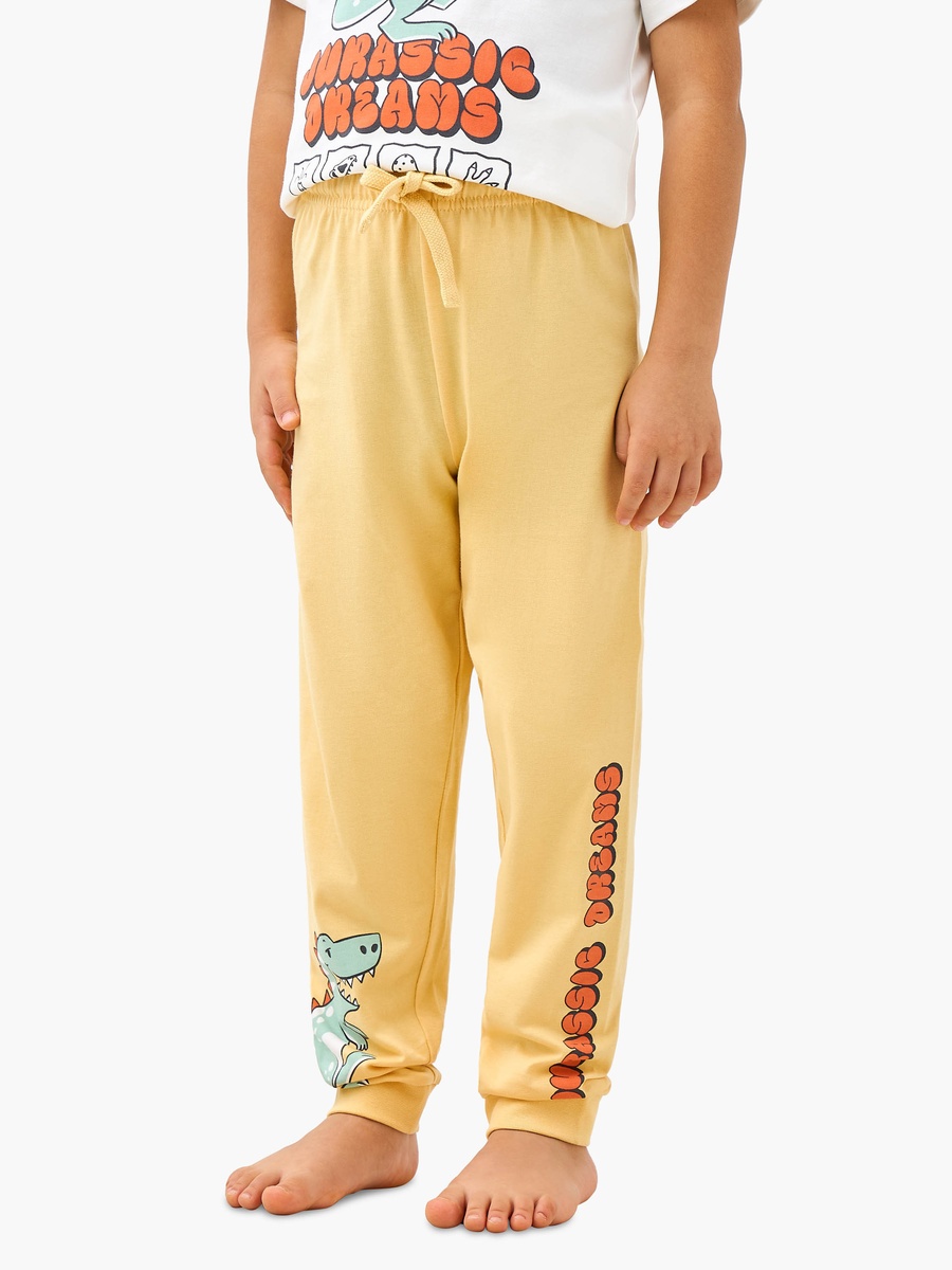 Dinosaur Print T-Shirt and Pyjama Set