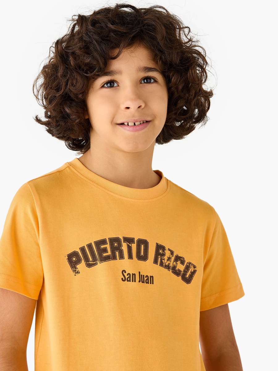 Typographic Print T-Shirt