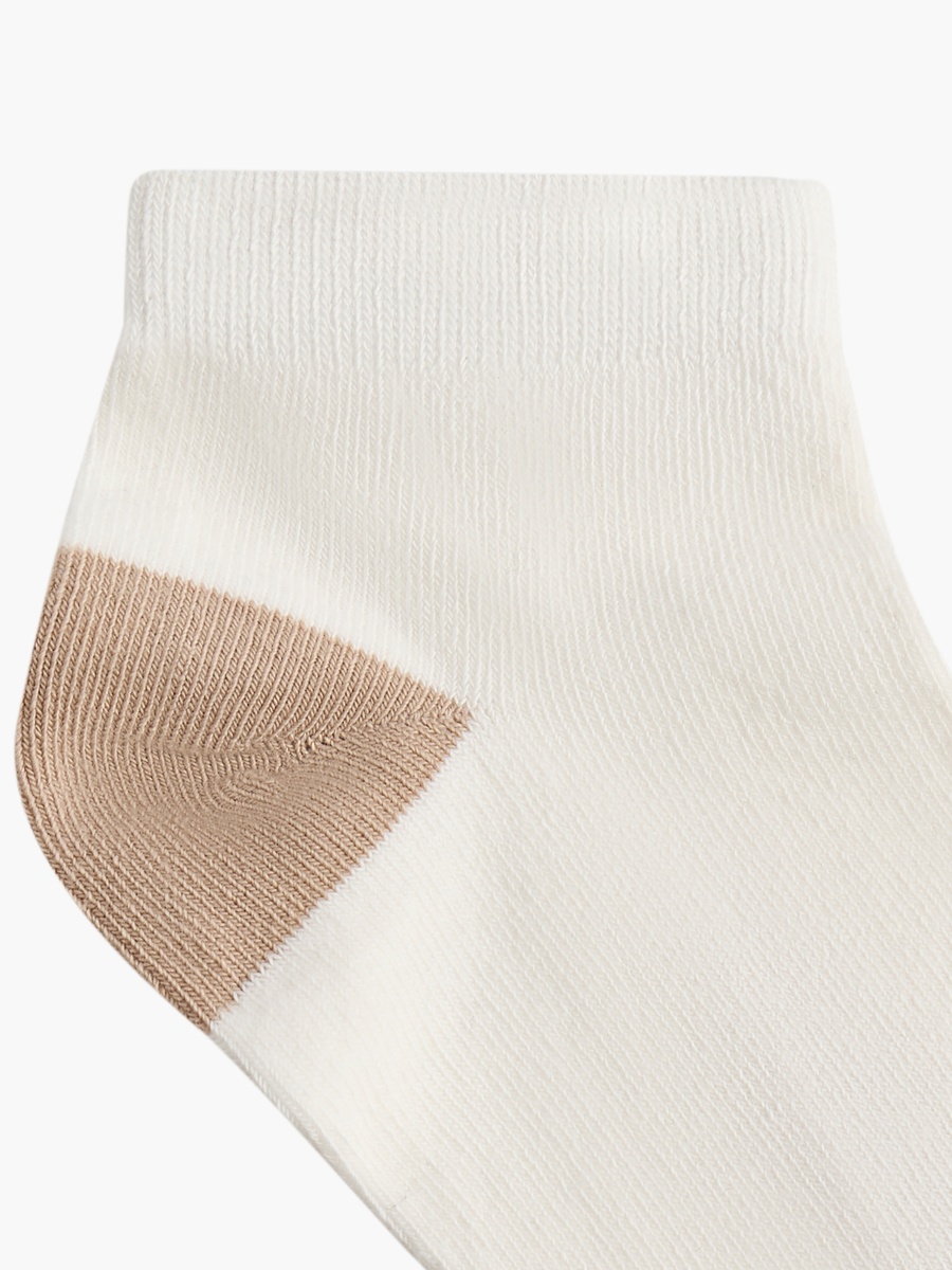 Days of The Week Print Ankle Length Socks - Set of 7