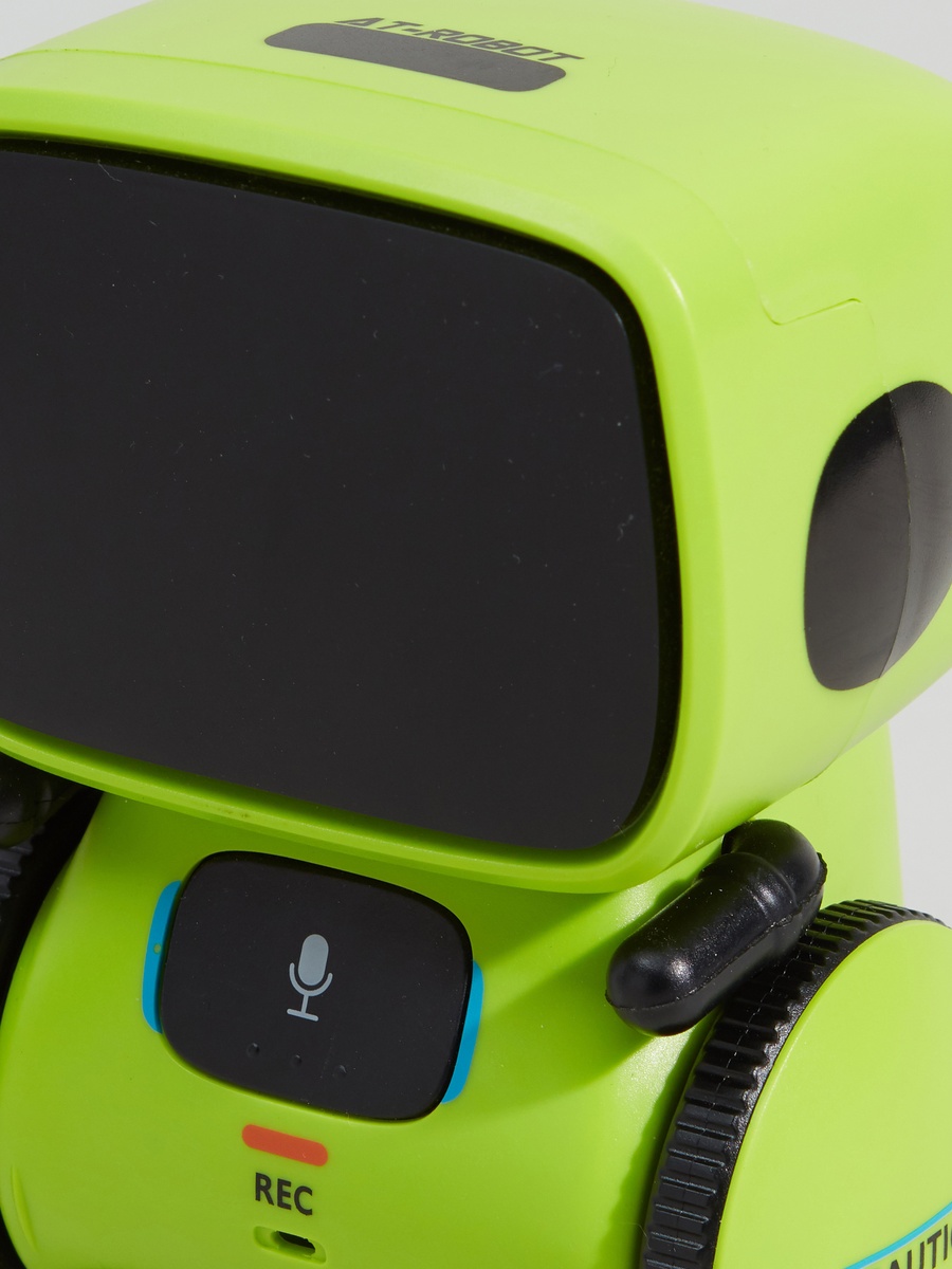 AT Robot with Voice Control