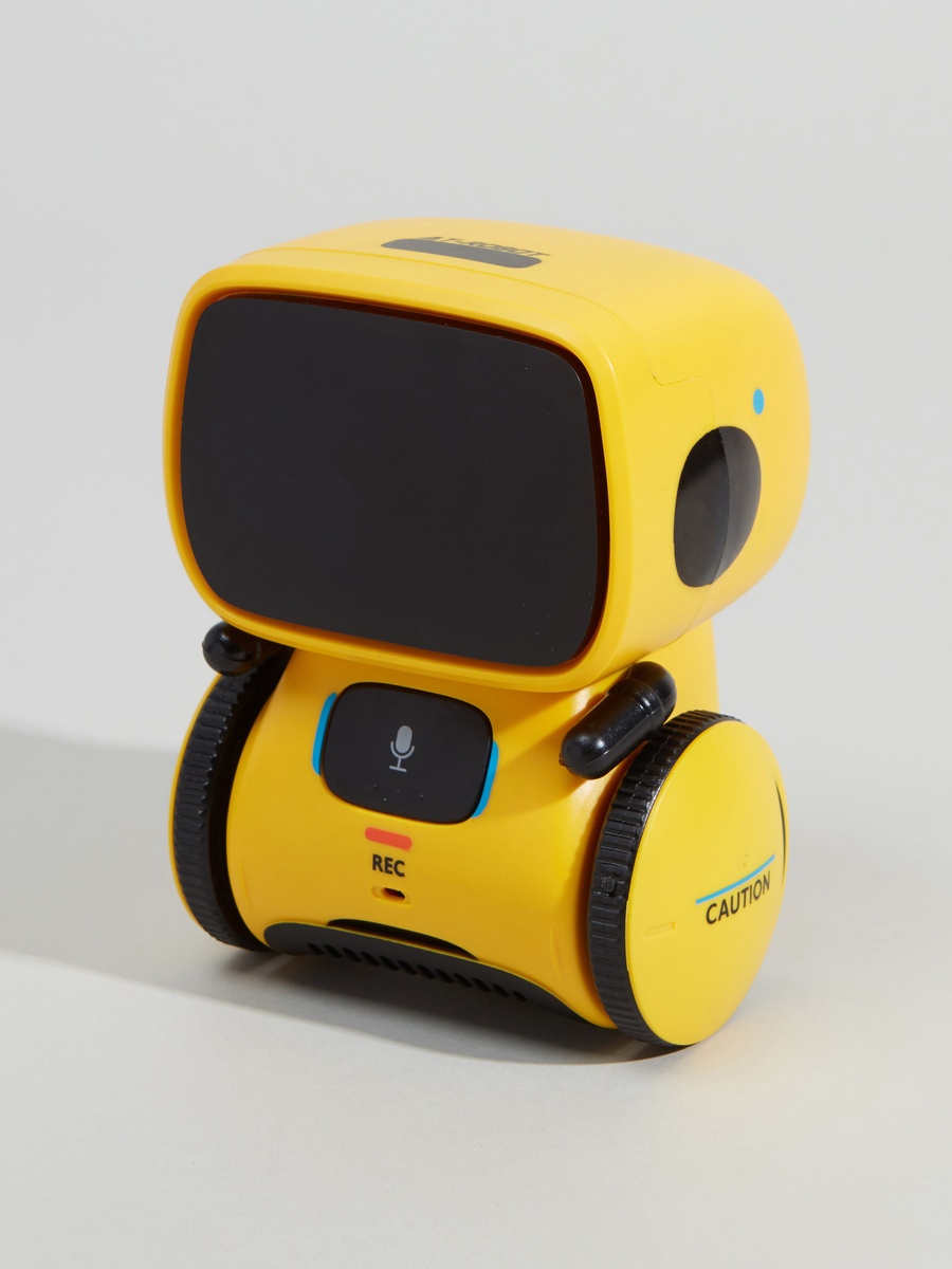 AT Robot with Voice Control