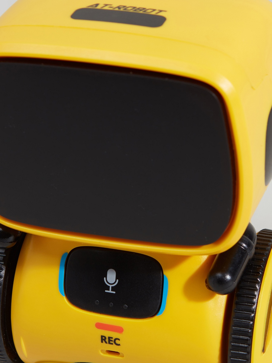 AT Robot with Voice Control