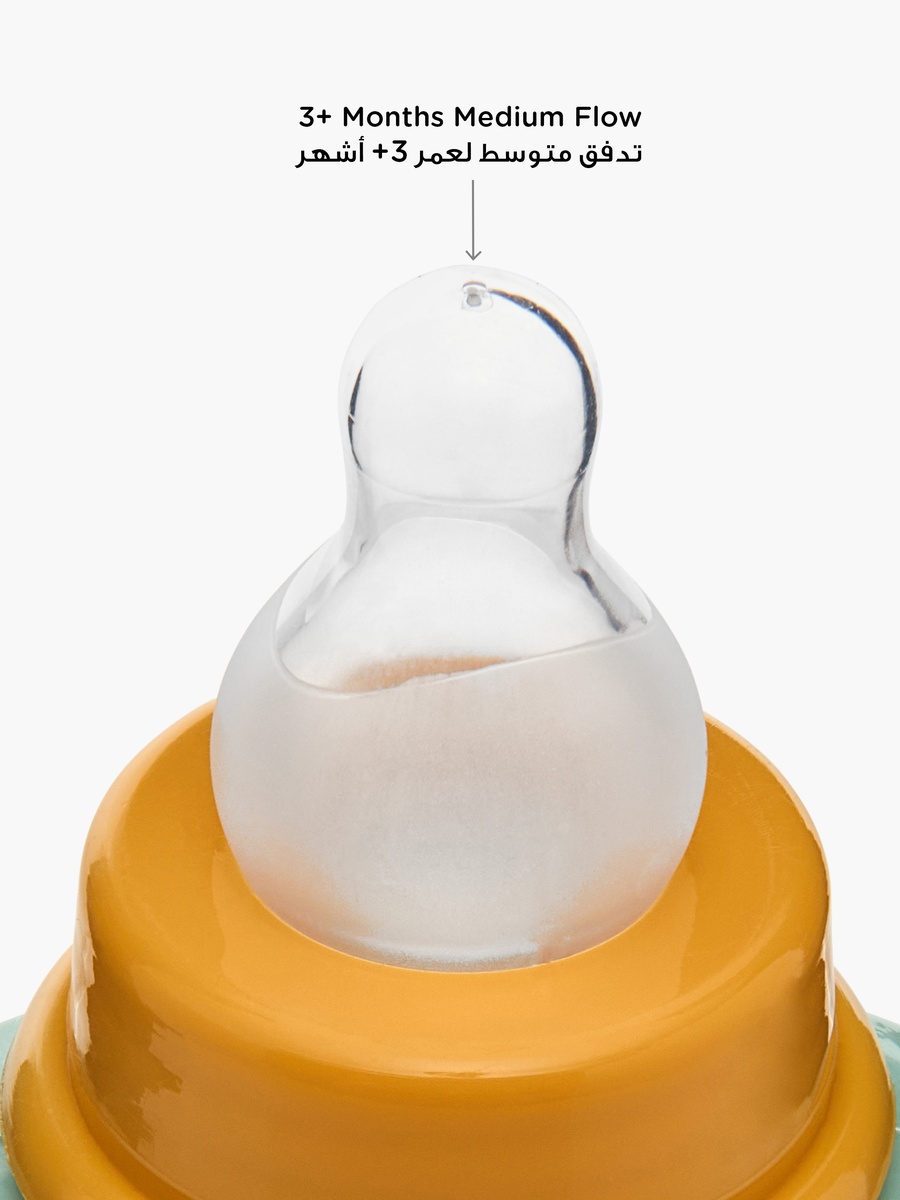 Printed Feeding Bottle with Handle - 250 ml