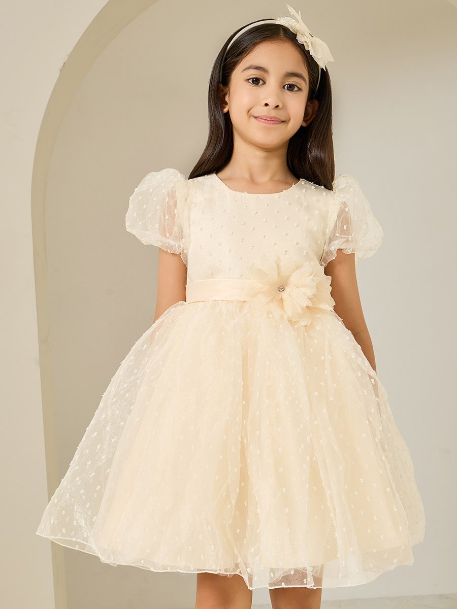 Girls Cream Dobby Organza A-Line Dress