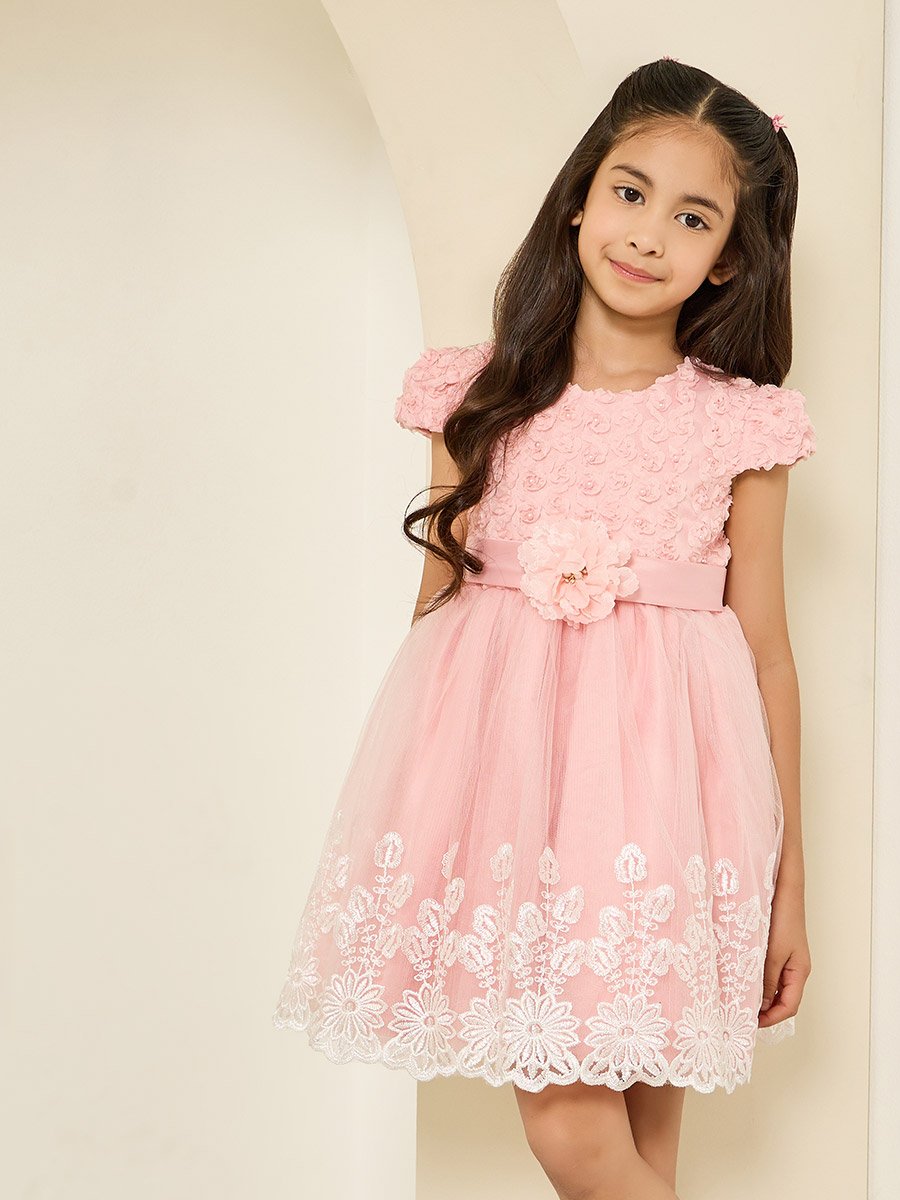 Girls Pink Embellished Embroidered Mesh Dress