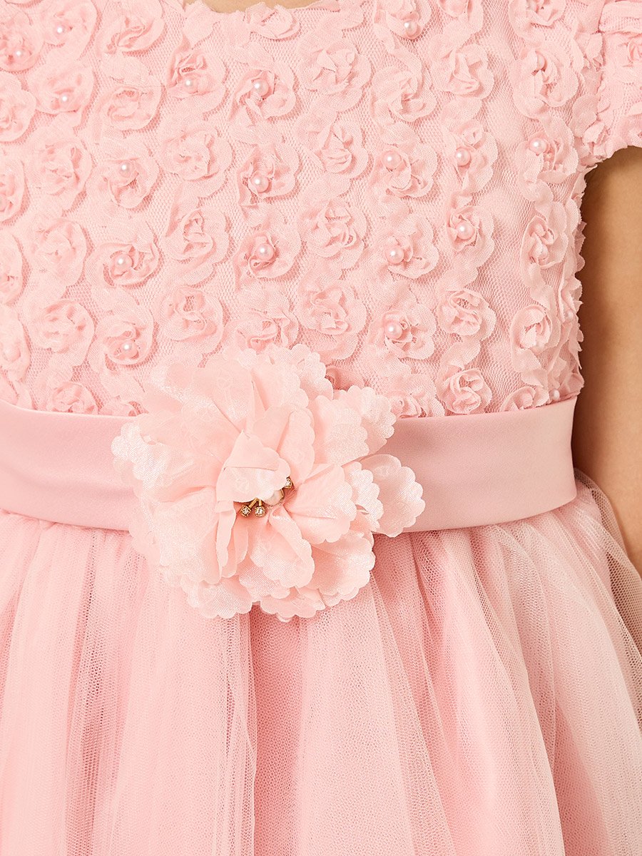 Girls Pink Embellished Embroidered Mesh Dress