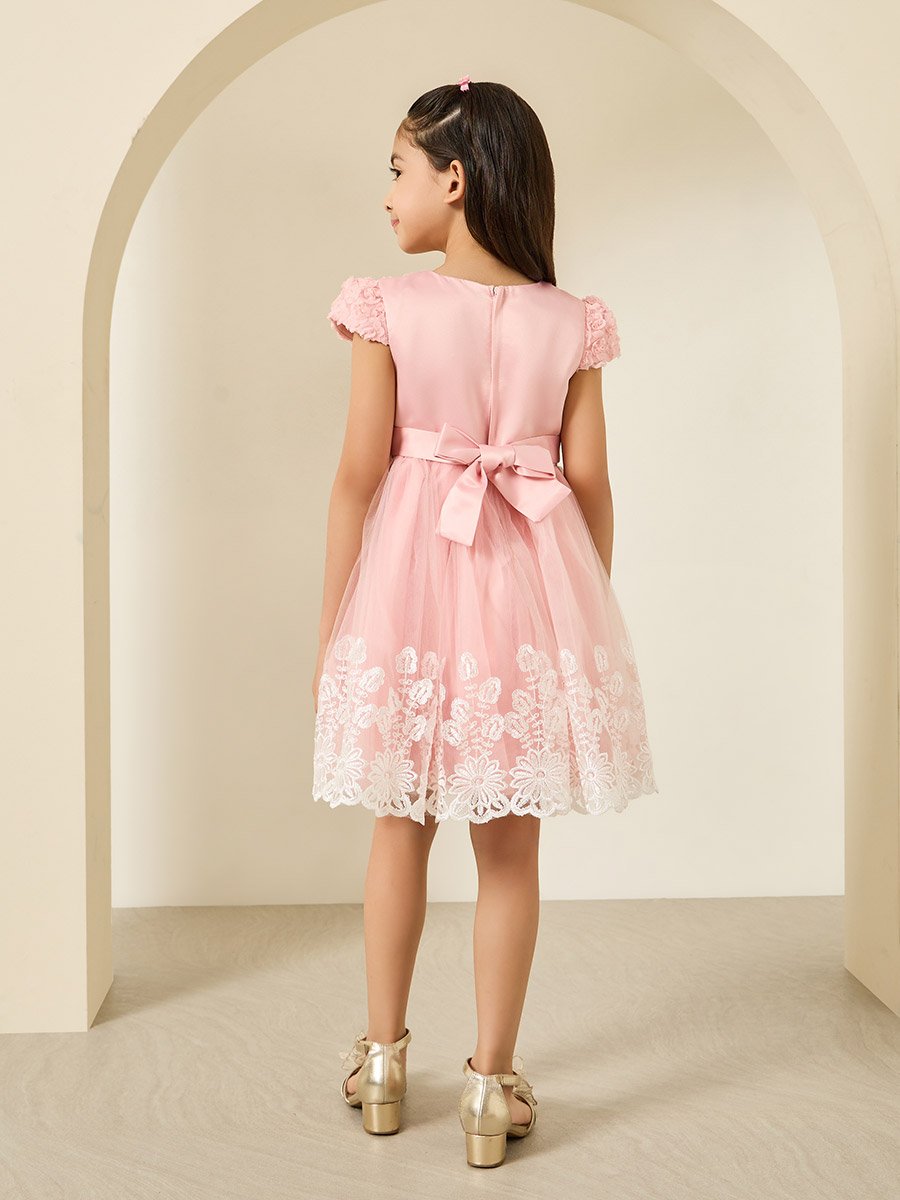 Girls Pink Embellished Embroidered Mesh Dress
