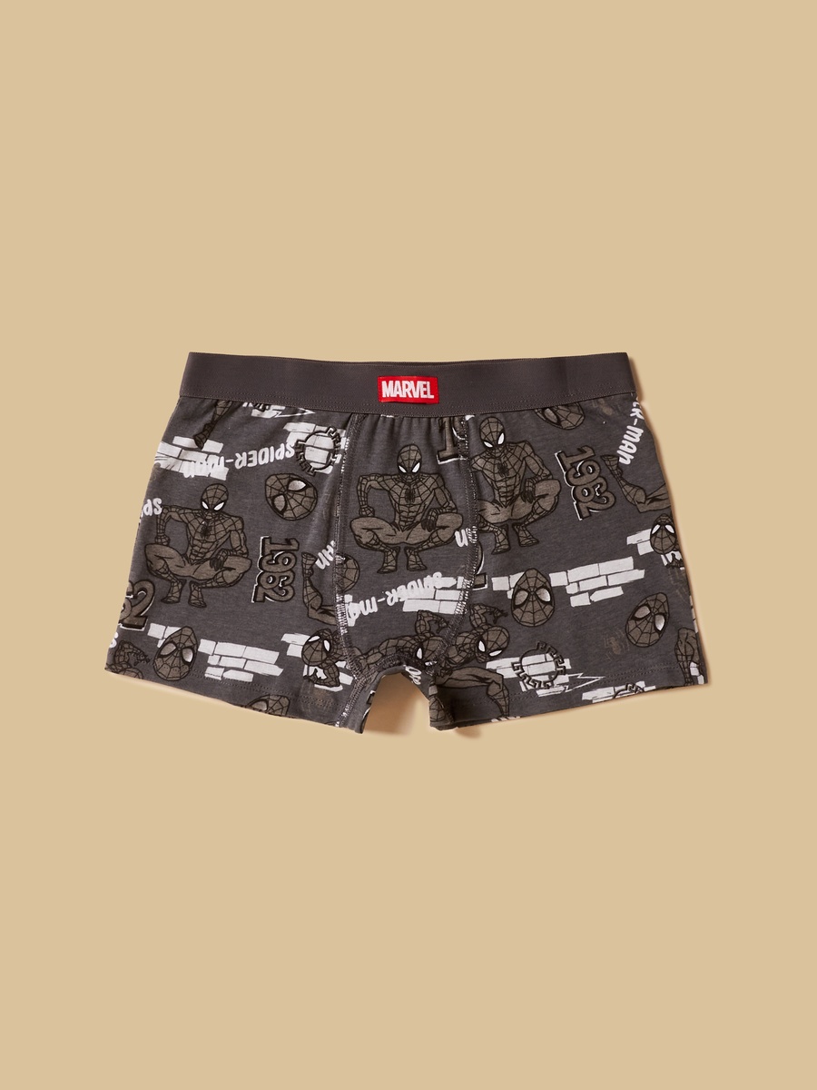 Pack of 3 - Spider-Man Print Trunks
