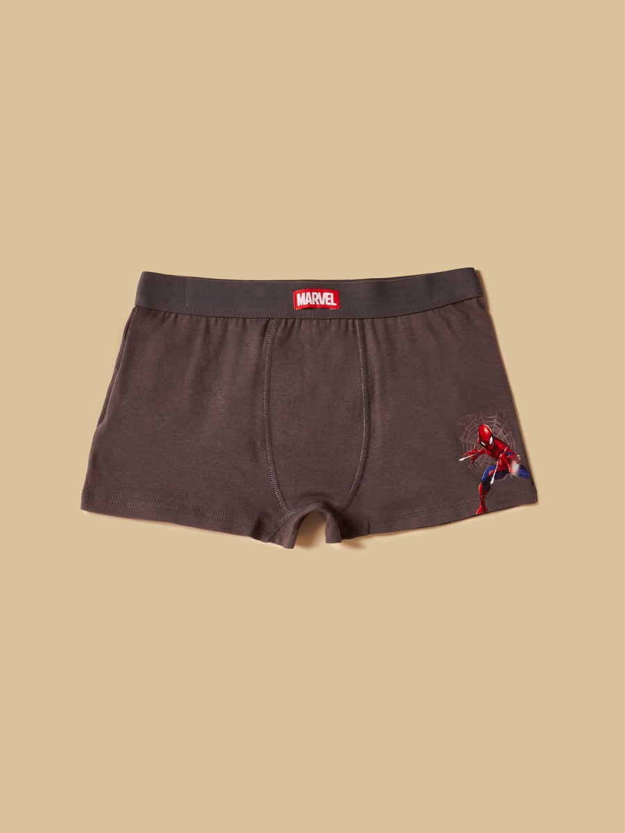 Pack of 3 - Spider-Man Print Trunks