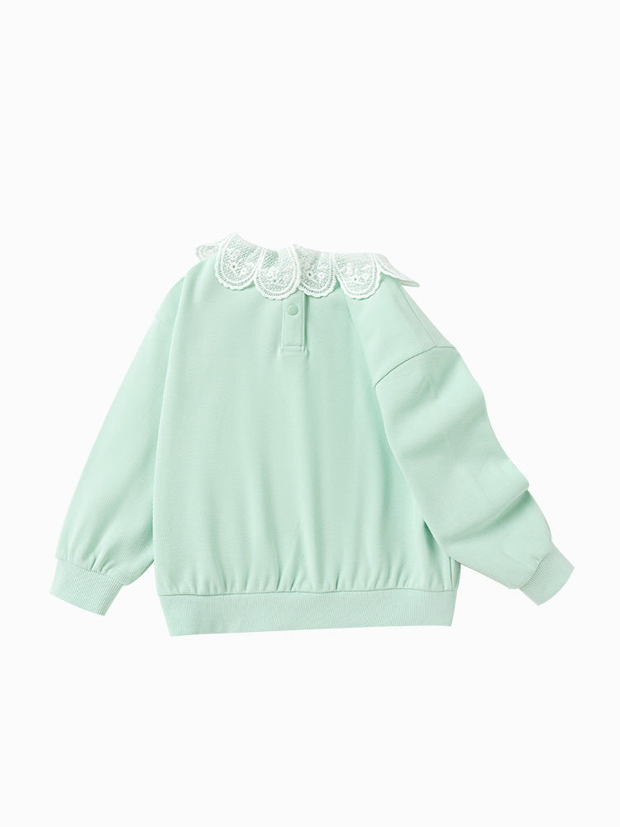 Lace Collar Ribbed Sweatshirt