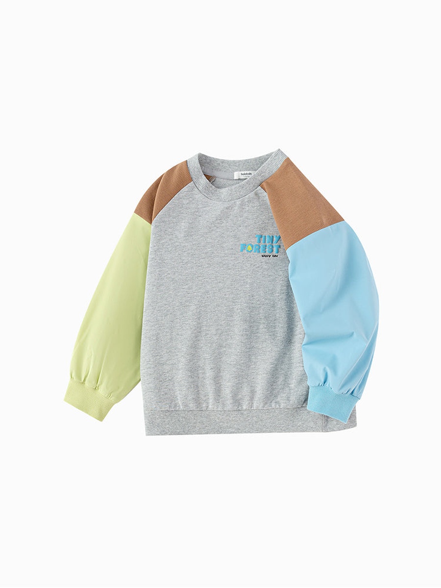 Color Block Sleeve Sweatshirt