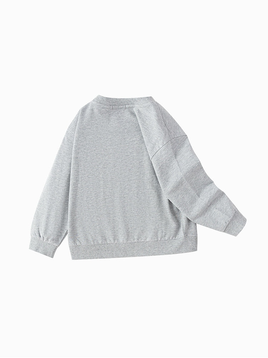 Sweatshirt with Puff Print