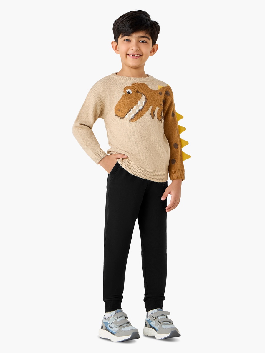 Dinosaur Graphic Pullover with Long Sleeves