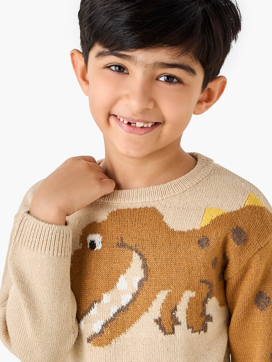 Dinosaur Graphic Pullover with Long Sleeves
