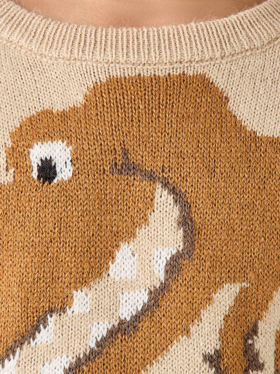 Dinosaur Graphic Pullover with Long Sleeves