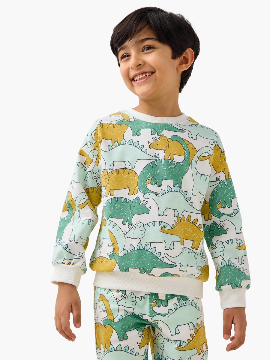 Dinosaur Print Sweatshirt with Long Sleeves