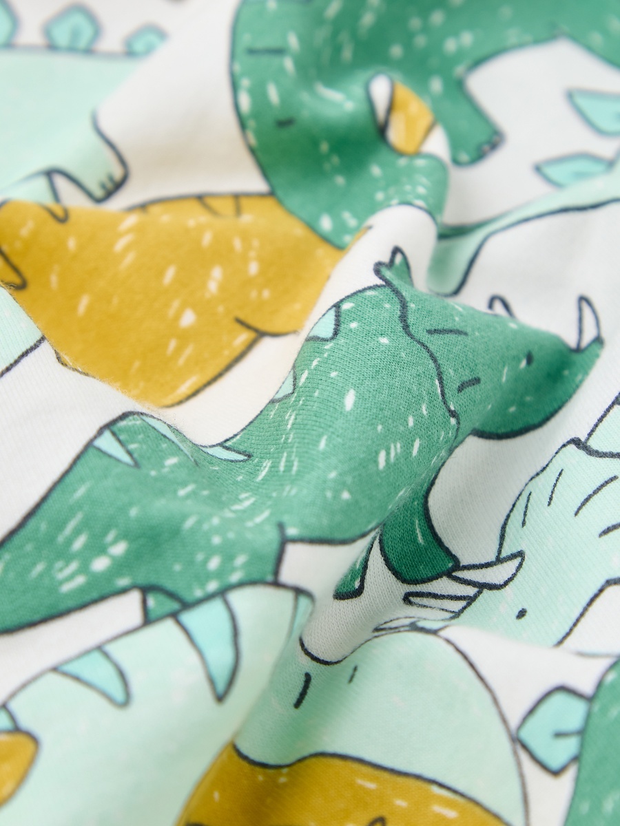 Dinosaur Print Sweatshirt with Long Sleeves