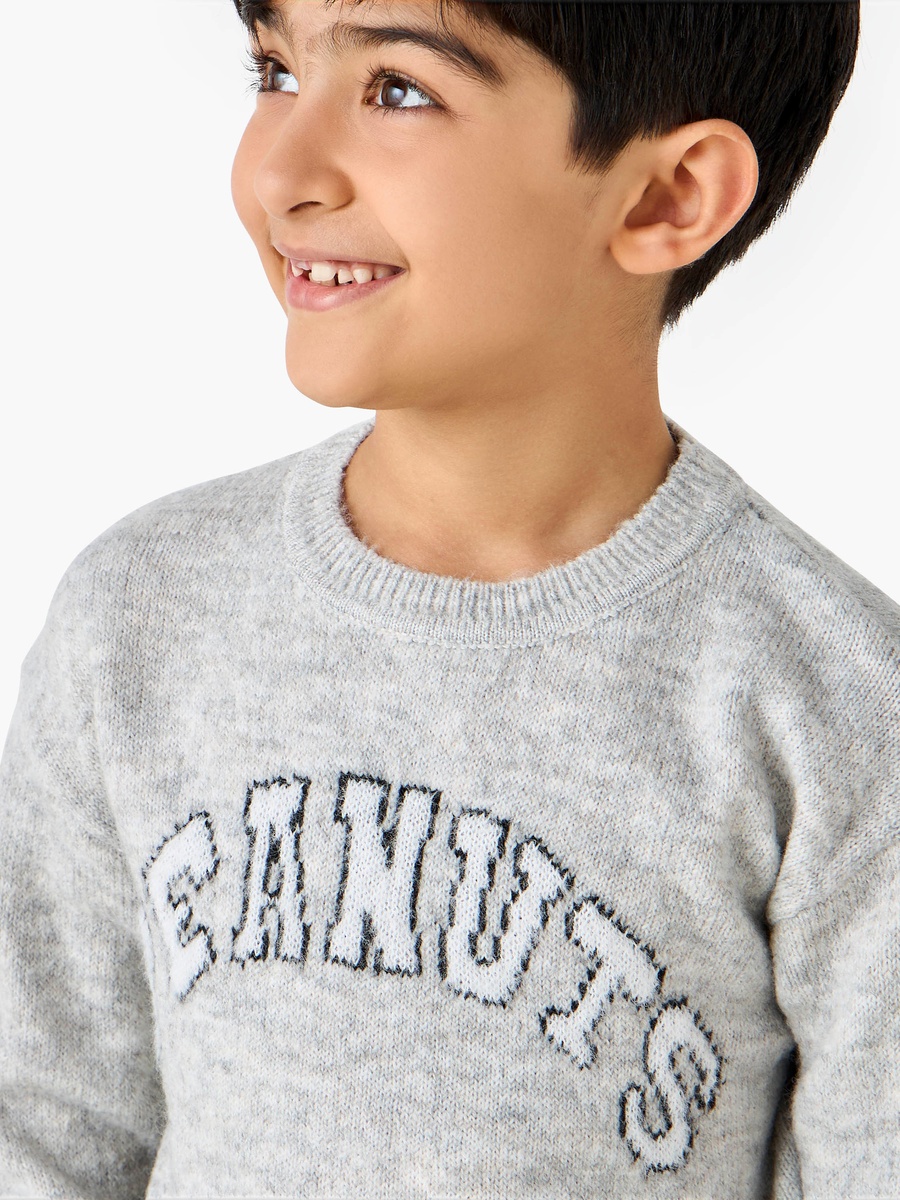 Peanuts Graphic Pullover with Long Sleeves